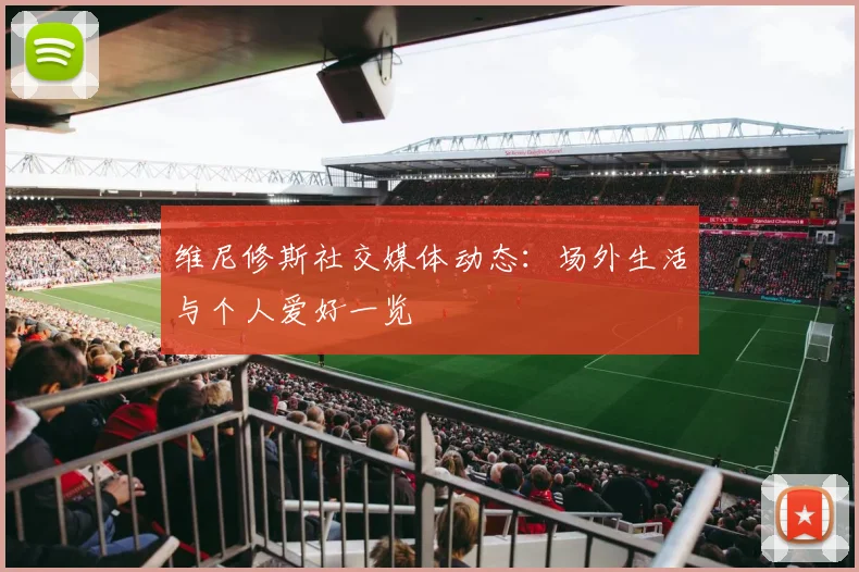 维尼修斯社交媒体动态:场外生活与个人爱好一览